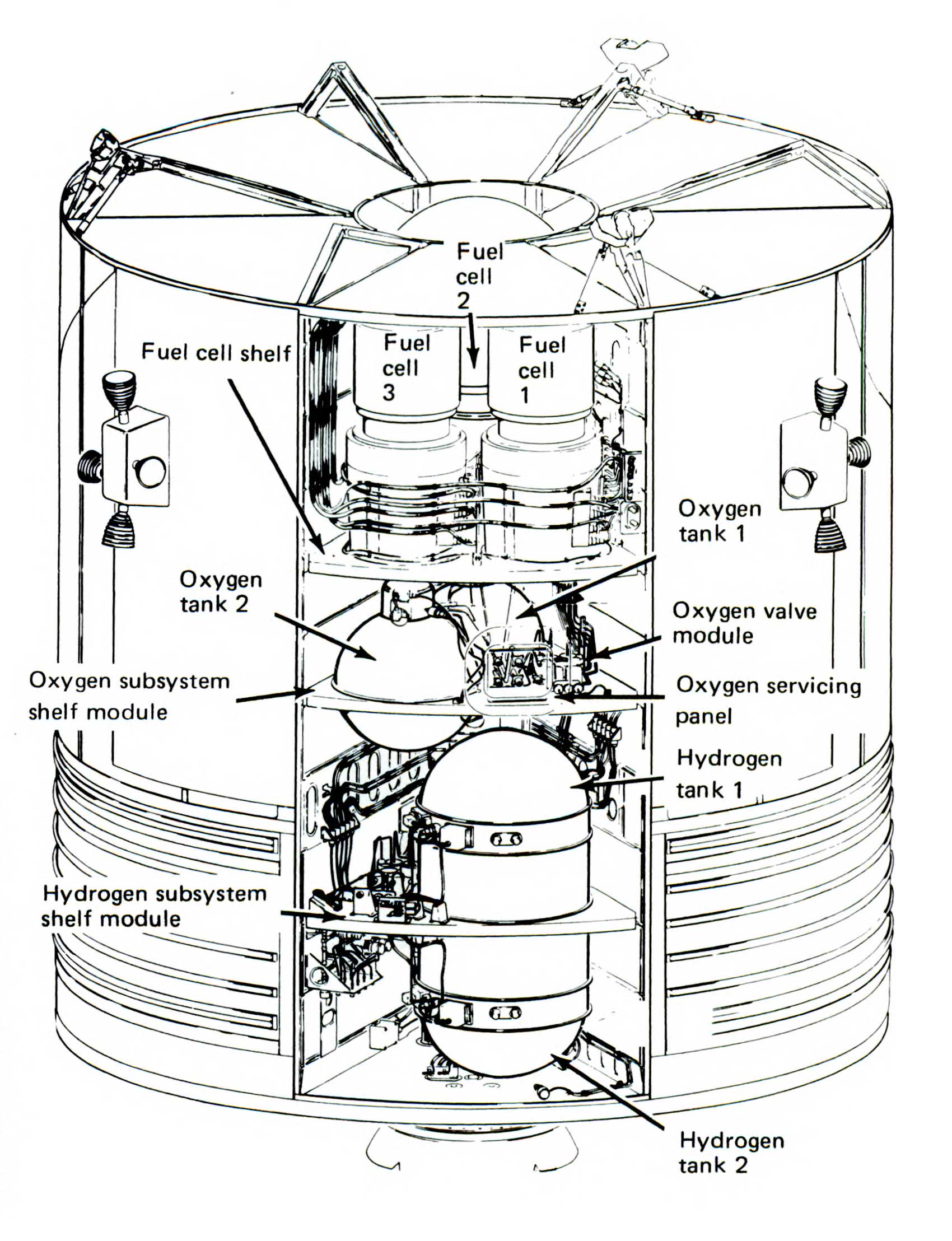 A picture of the cross-section of the service module showing the oxygen tank areas