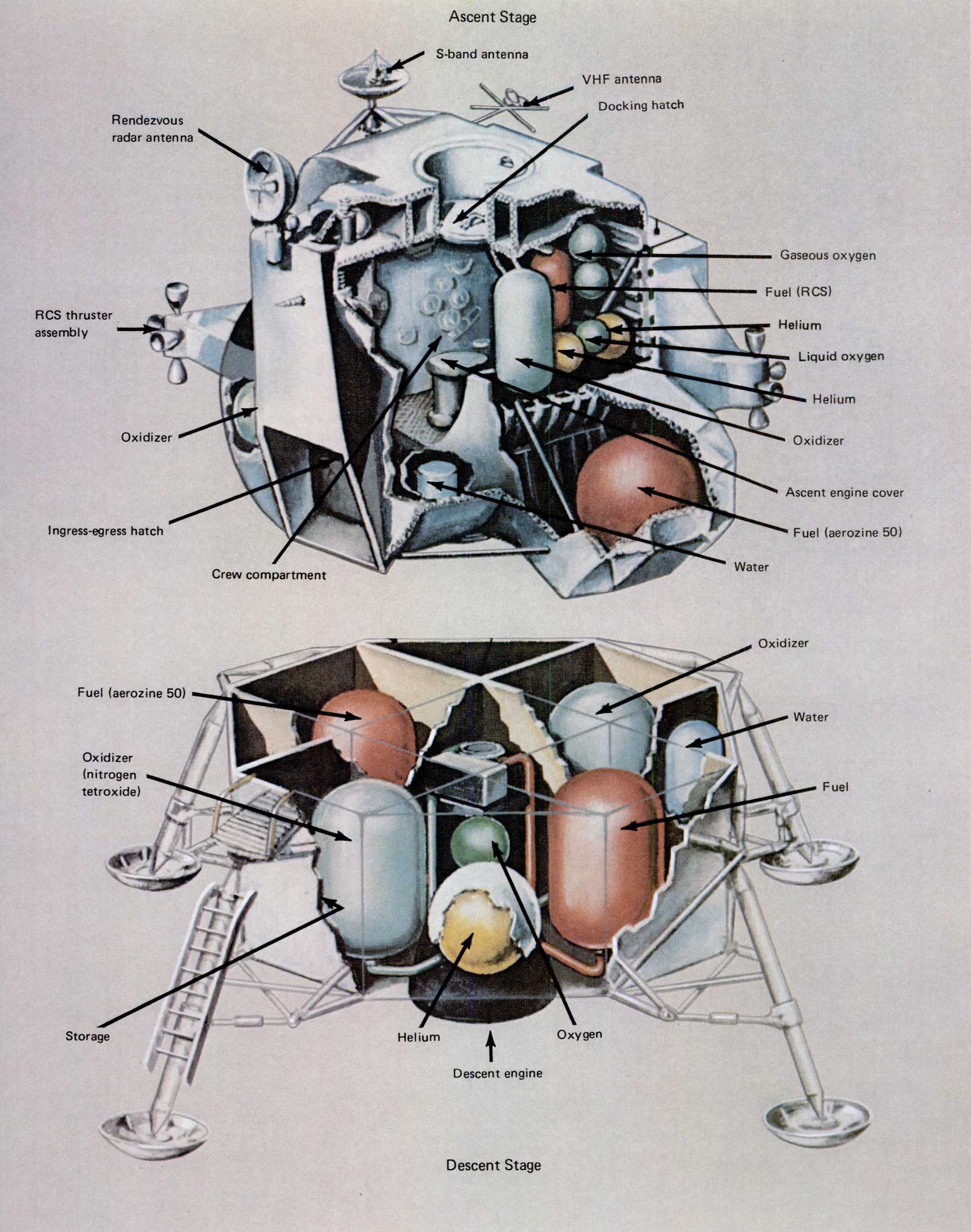 A picture of the cross-section of the descent stage