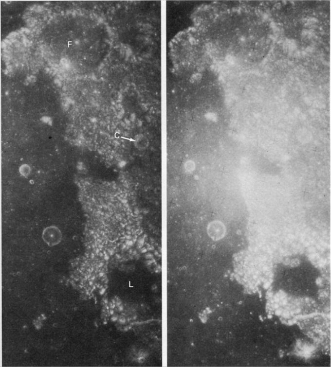 FIGURE 51. - The southeastern corner of figure 50 is shown here as a stereogram of two Apollo 16 pictures taken when the Sun angle was much higher.