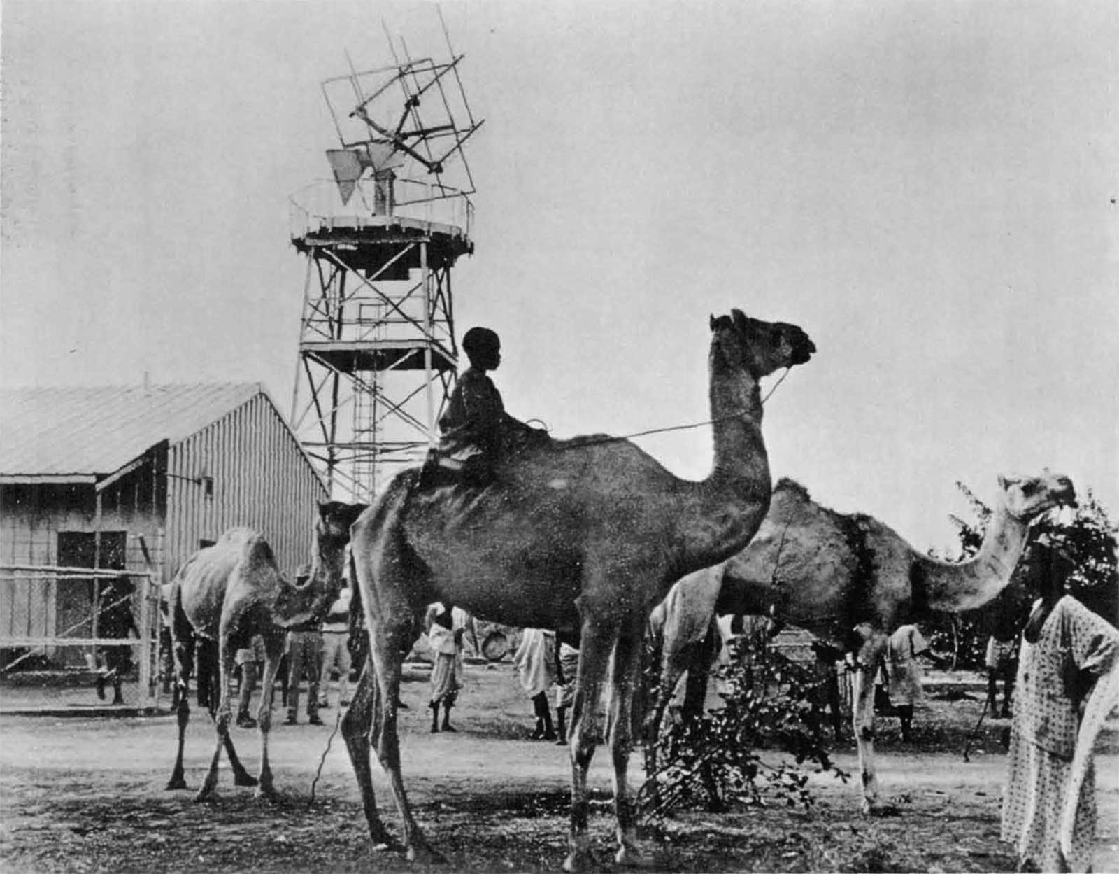 Tracking site pictured with camels in the foreground