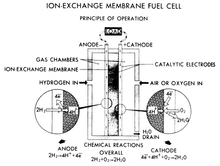 Ion exchange membrane fuel cell