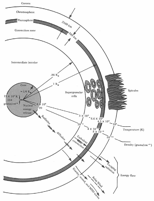 Idealized structure of the sun