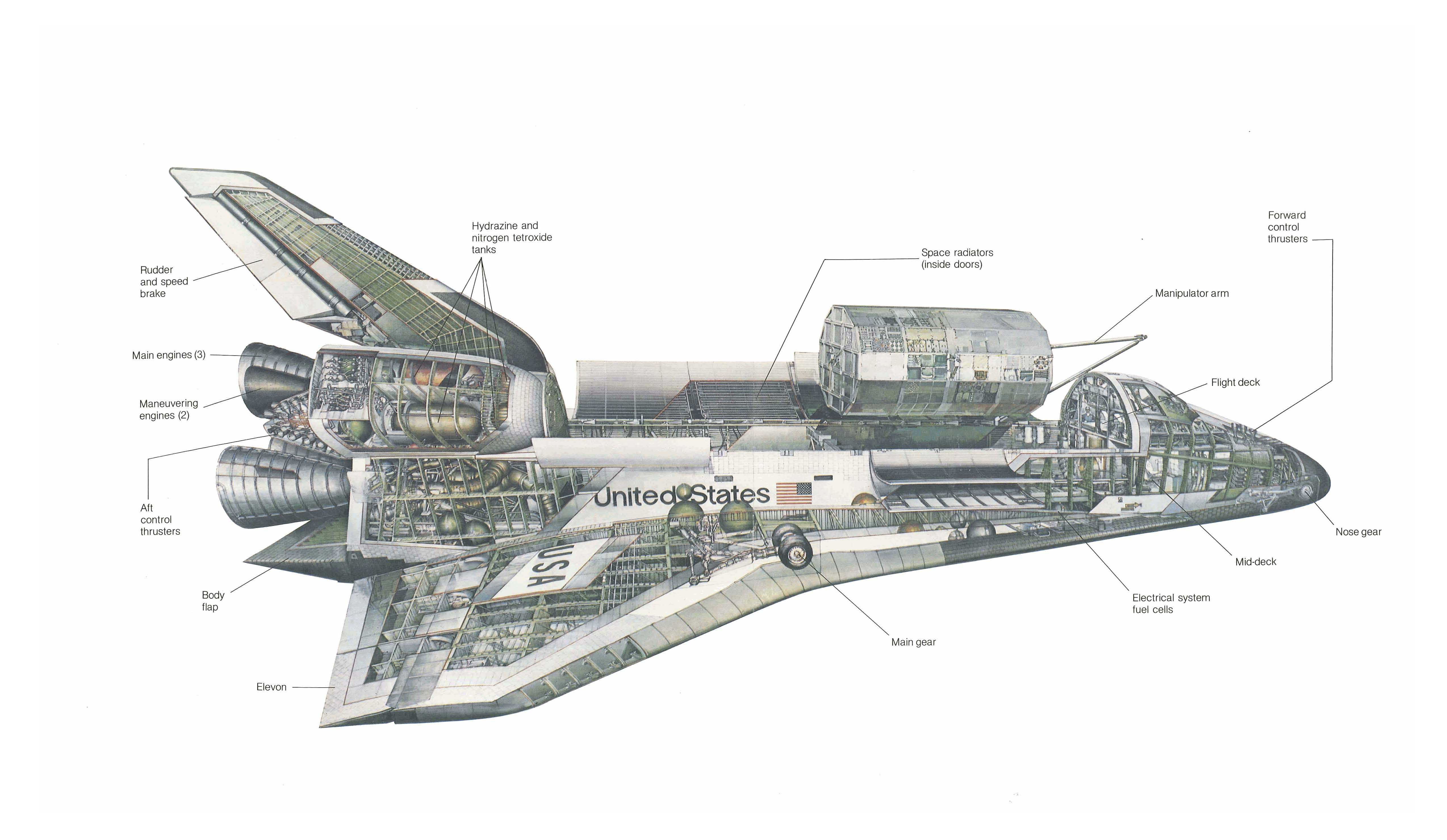 Detailed cutaway of the Space Shuttle